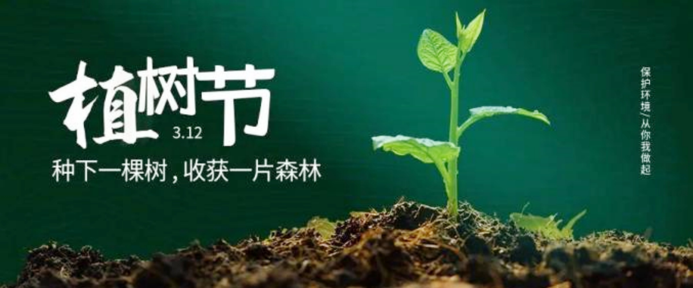 众宏拓展植树活动 (7).jpg