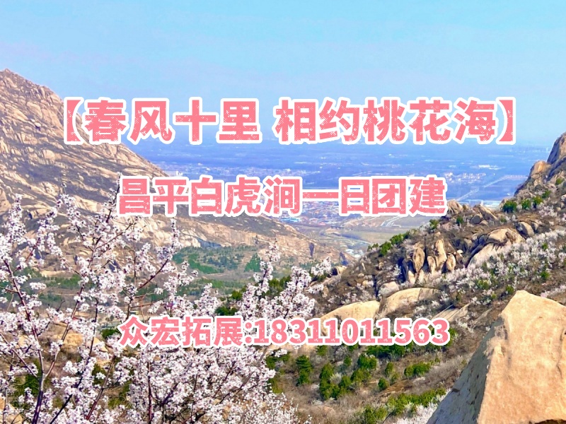 【春风十里 相约桃花海】昌平白虎涧一日团建